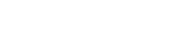 SilicoPro